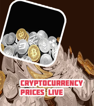 New coin on crypto com