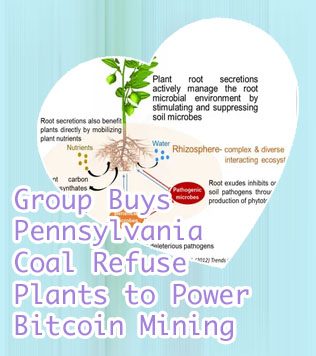 Plants become bitcoinmining operations are alternatives