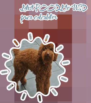 Poodle crypto price