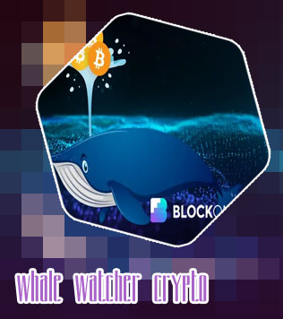 Whale watcher crypto
