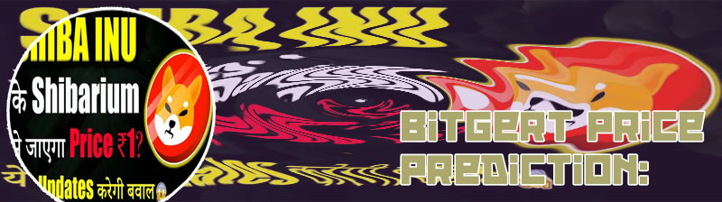 Where to buy bitgert crypto